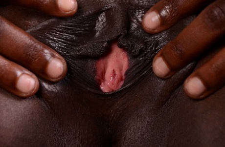 Black Elite porn img